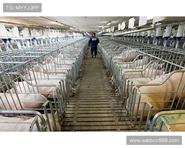 杭州攀岩队团队协作创新探索与热议攀岩运动的未来发展